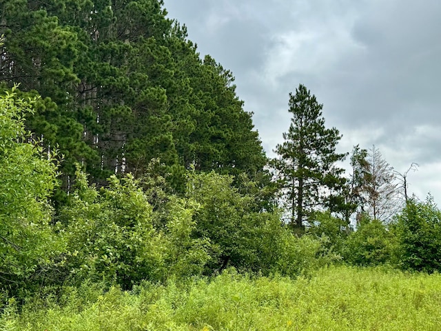 TBD20THSTSW 20th St SW, Bull Moose Twp, MN 56474 - photo 4