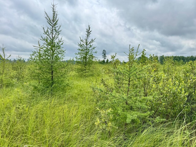 TBD20THSTSW 20th St SW, Bull Moose Twp, MN 56474 - photo 14