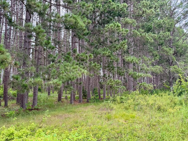 TBD20THSTSW 20th St SW, Bull Moose Twp, MN 56474 - photo 16