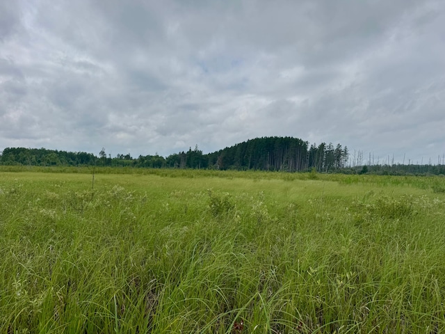 TBD20THSTSW 20th St SW, Bull Moose Twp, MN 56474 - photo 19