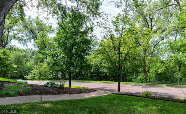 708 Minnehaha Pkwy E, Minneapolis, MN 55417 - photo 37