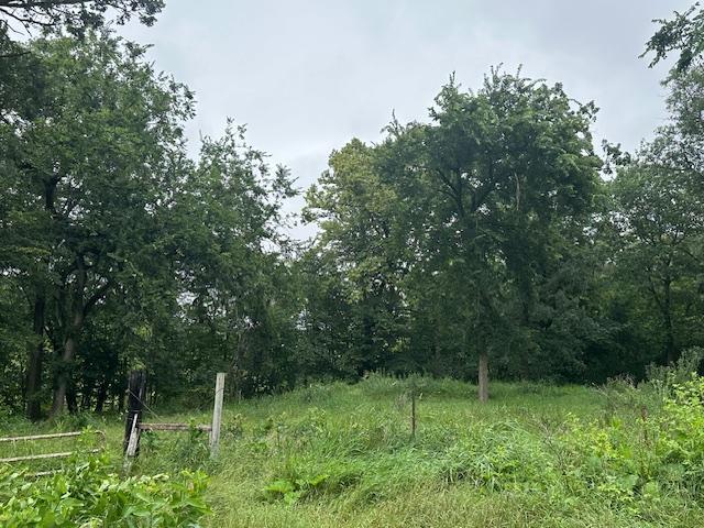 32752 County 16, Turtle Creek Twp, MN 56443 - photo 3
