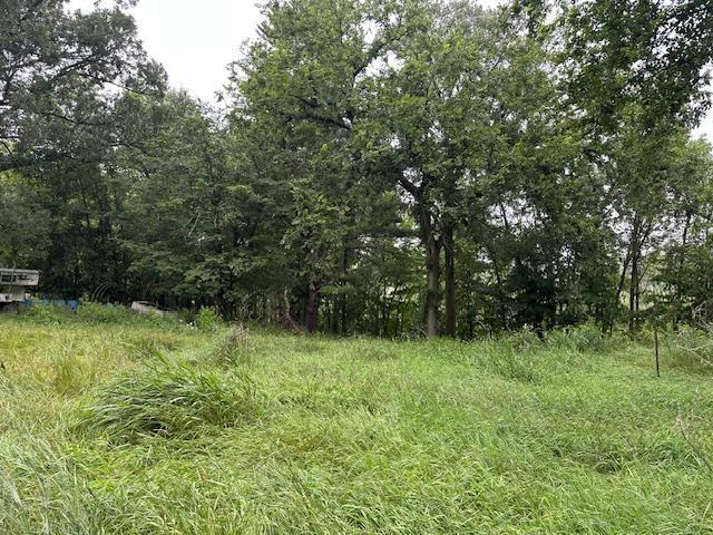 32752 County 16, Turtle Creek Twp, MN 56443 - photo 8
