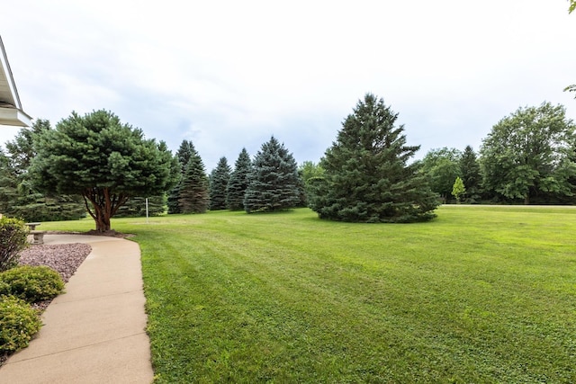 1246 Meadowlark Ct SW, Rochester Twp, MN 55902 - photo 57