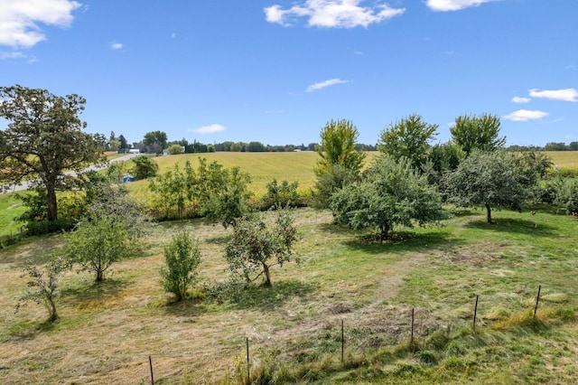 12549 County 21, Canton Twp, MN 55922 - photo 37