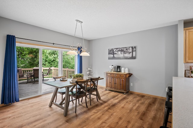 678 Riesgraf Rd, Carver, MN 55315 - photo 12