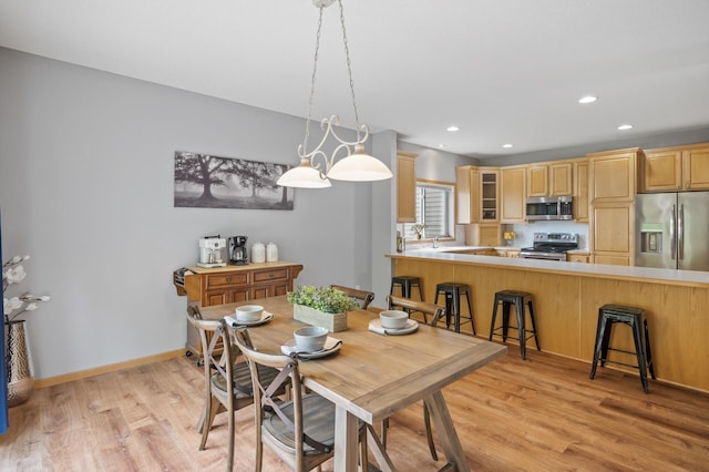 678 Riesgraf Rd, Carver, MN 55315 - photo 13