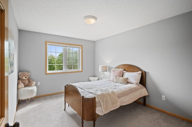 678 Riesgraf Rd, Carver, MN 55315 - photo 24
