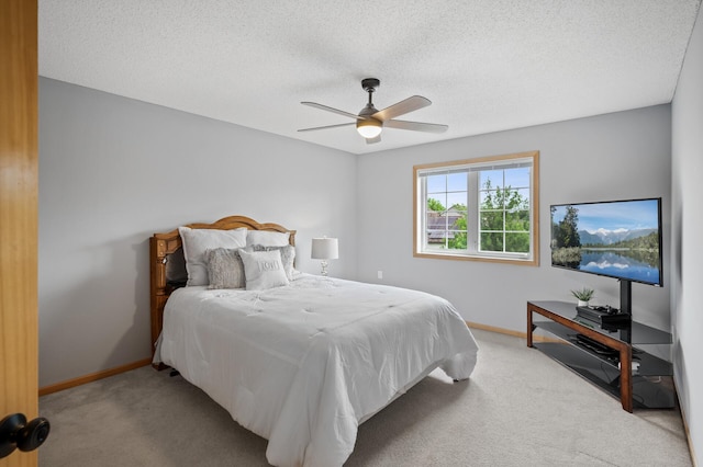 678 Riesgraf Rd, Carver, MN 55315 - photo 26