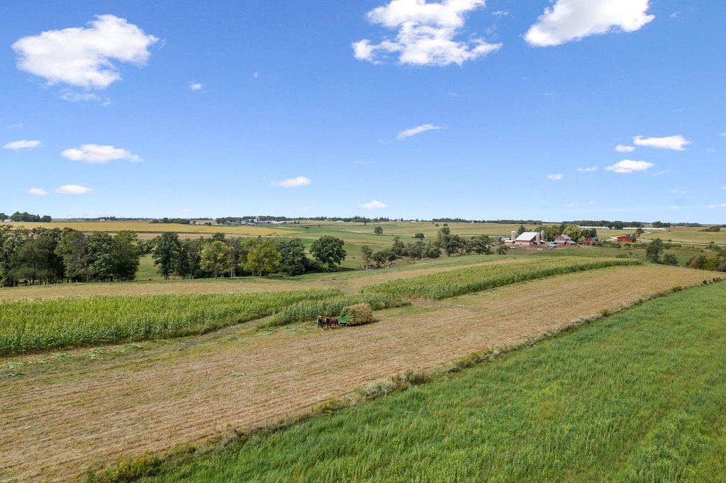 TBD County 21 Road, Canton Twp, MN 55922 - photo 2