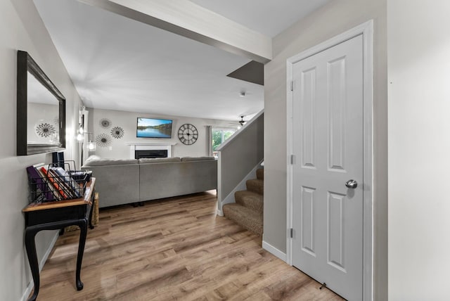 539 Summit Ln, Dundas, MN 55019 - photo 12