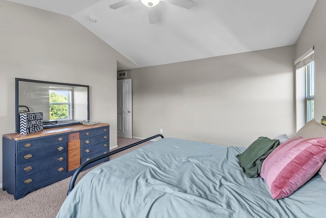 539 Summit Ln, Dundas, MN 55019 - photo 34