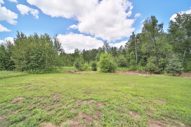 2249 36th Ave SW, Pine River, MN 56474 - photo 36