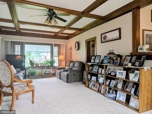 315 2nd Ave N, Long Prairie, MN 56347 - photo 21