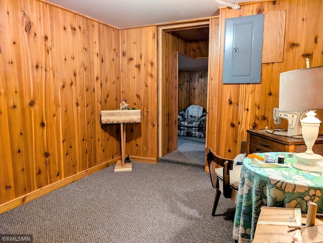 315 2nd Ave N, Long Prairie, MN 56347 - photo 63