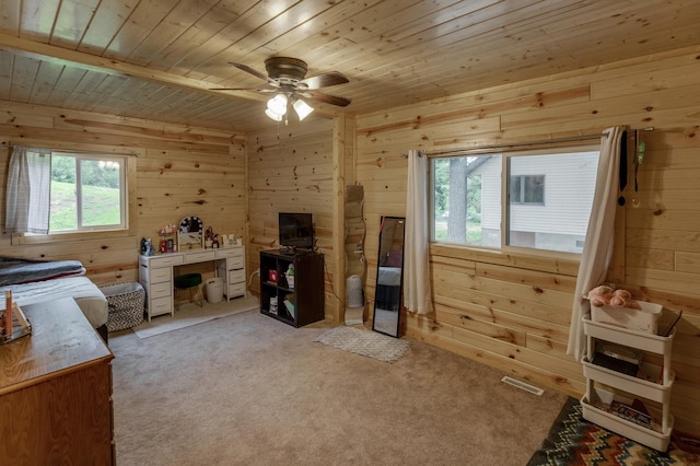 221 4th St, Walker, MN 56401 - photo 19