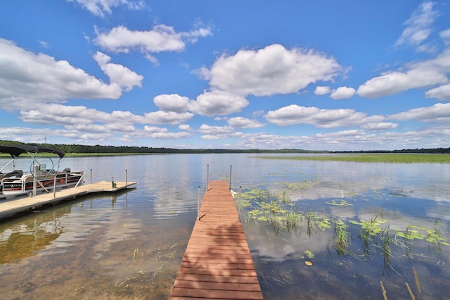 1088 Big Portage Lake Dr NW, Powers Twp, MN 56435 - photo 2