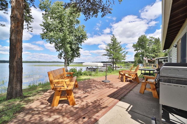 1088 Big Portage Lake Dr NW, Powers Twp, MN 56435 - photo 17