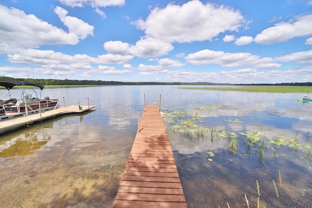 1088 Big Portage Lake Dr NW, Powers Twp, MN 56435 - photo 23