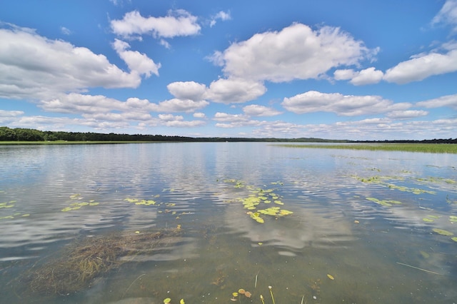1088 Big Portage Lake Dr NW, Powers Twp, MN 56435 - photo 24