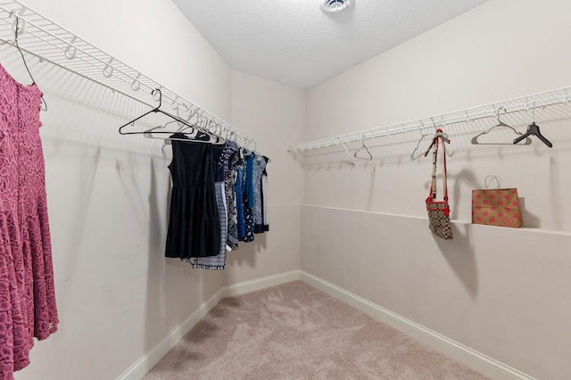 2888 Forest Rdg, Chaska, MN 55318 - photo 43