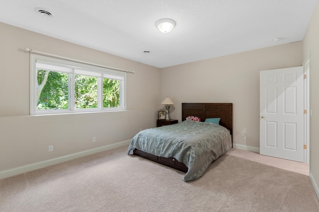 2888 Forest Rdg, Chaska, MN 55318 - photo 44