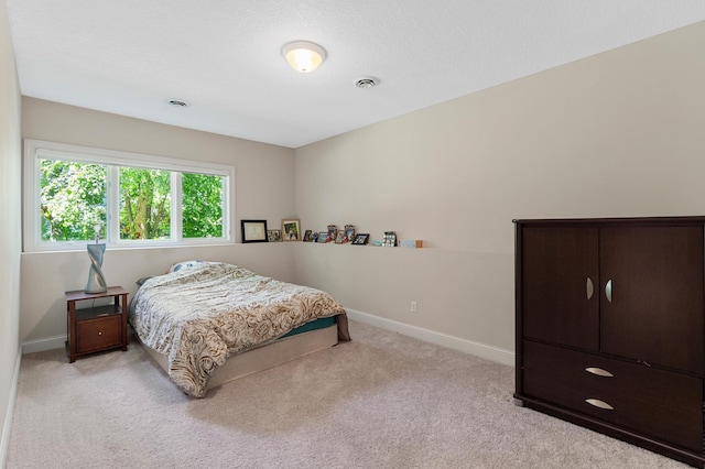 2888 Forest Rdg, Chaska, MN 55318 - photo 45