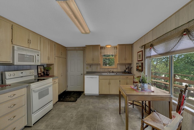21161 Elkview Cir, Richmond, MN 56368 - photo 10