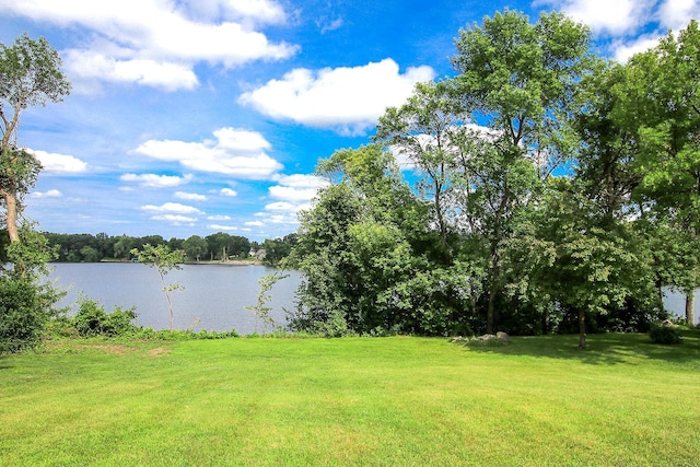 855 Otter St SW, Hutchinson, MN 55350 - photo 11