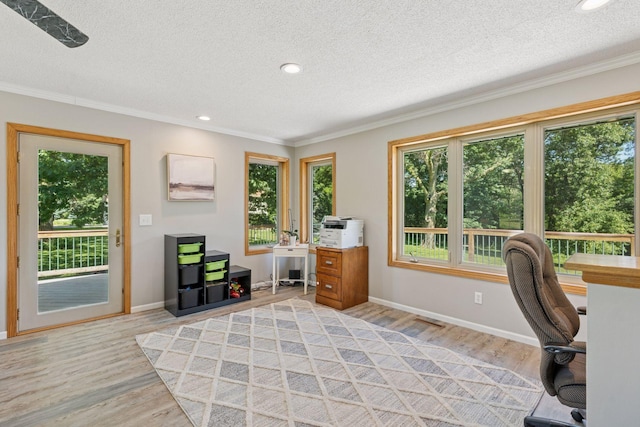 10904 240th St, Chisago Lake Twp, MN 55073 - photo 12