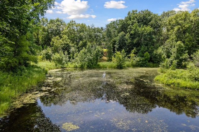 10904 240th St, Chisago Lake Twp, MN 55073 - photo 43
