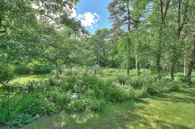 4903 Pinecroft Ave N, Baytown Twp, MN 55082 - photo 72