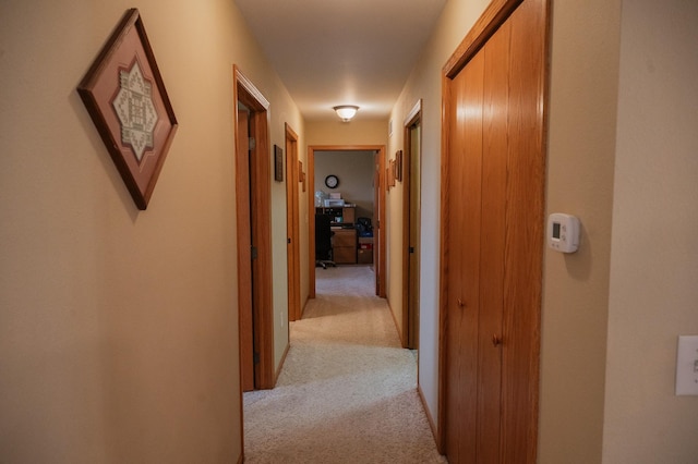 118 5th St N, Truman, MN 56088 - photo 13