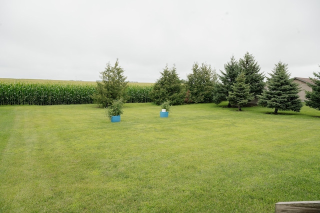 118 5th St N, Truman, MN 56088 - photo 36