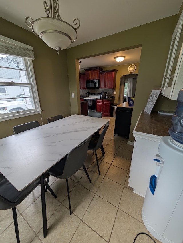 1009 Columbus Ave, Albert Lea, MN 56007 - photo 10