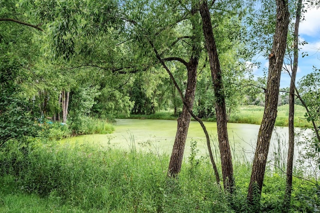 3351 View Ln, Woodbury, MN 55125 - photo 49