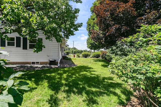 2116 Bush St, Red Wing, MN 55066 - photo 42