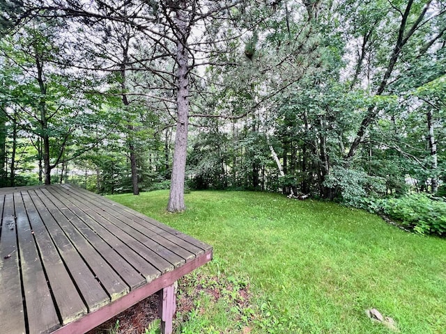 6647 Shady Pines Dr, Wuori Twp, MN 55792 - photo 36