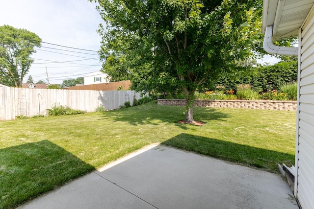 1449 Cascade St NW, Rochester, MN 55901 - photo 41