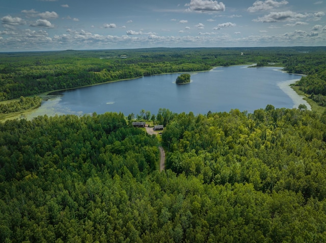 27162 County Road 16, Hibbing, MN 55746 - photo 6
