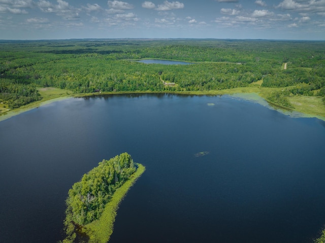 27162 County Road 16, Hibbing, MN 55746 - photo 8