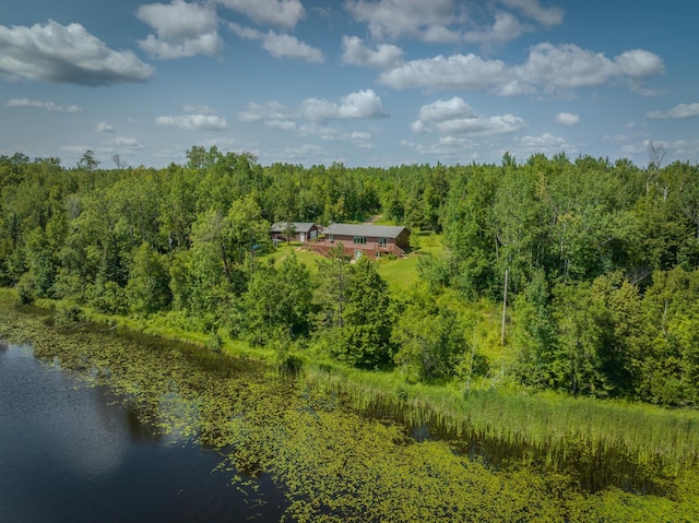 27162 County Road 16, Hibbing, MN 55746 - photo 59