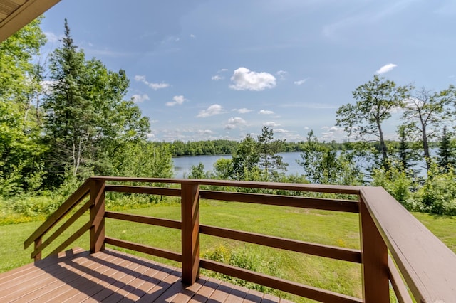 27162 County Road 16, Hibbing, MN 55746 - photo 34