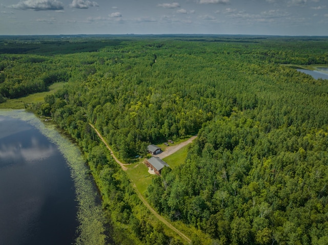 27162 County Road 16, Hibbing, MN 55746 - photo 63