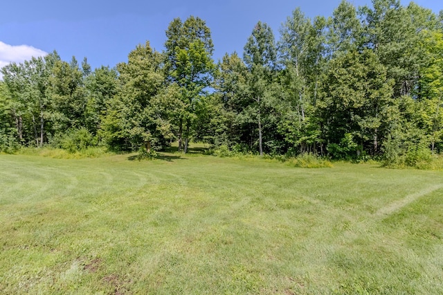 27162 County Road 16, Hibbing, MN 55746 - photo 64