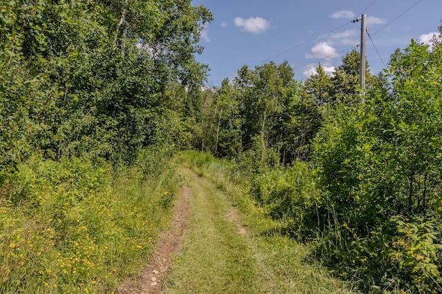 27162 County Road 16, Hibbing, MN 55746 - photo 76