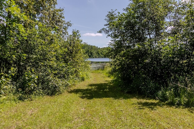 27162 County Road 16, Hibbing, MN 55746 - photo 77