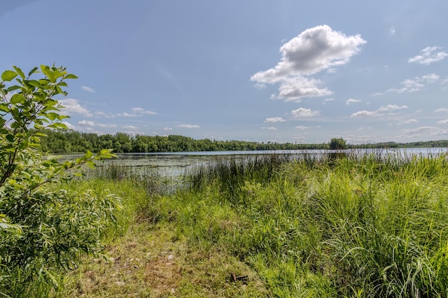 27162 County Road 16, Hibbing, MN 55746 - photo 78