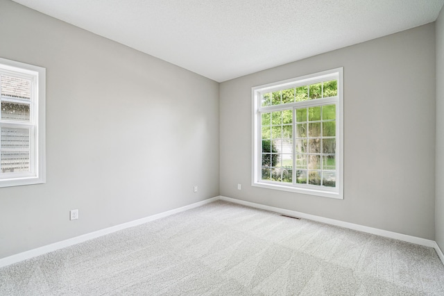 179 Lakeview Rd E, Chanhassen, MN 55317 - photo 14