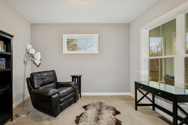 17265 Ward Lake Dr NW, Andover, MN 55304 - photo 29